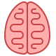 Child (Brain)